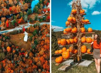 One Of Canada’s ‘Most Popular Vacation Destinations’ Is Near Toronto & It’s A Fall Paradise