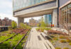 6 Tips For Visiting New York’s High Line