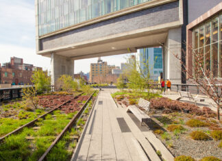 6 Tips For Visiting New York’s High Line