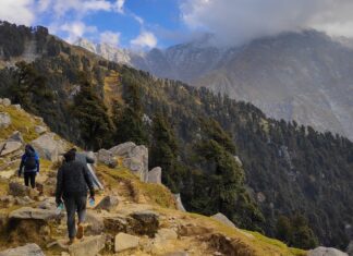 The ultimate travel guide for the ICC World Cup 2023 in Dharamshala | Travel