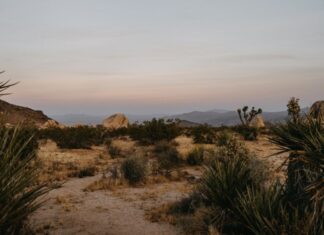 10 Amazing Destinations In The U.S. For Fall Camping To Book