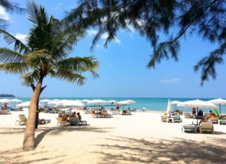 ATTENTION Indian Tourists! You Can Now Visit Thailand Without Visa For Next Six Months; Details Here
