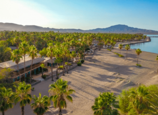 Traveling to Loreto for a Fishing Vacation | BDOutdoors