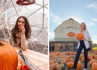 These Are The 7 Best Fall Destinations In Ontario According To Narcity’s Travel Team