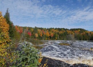 Travel guide – there’s more to Michigan than Motown