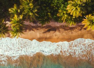 Two Puerto Rico destinations among world’s best places to travel in 2024 | Top Stories