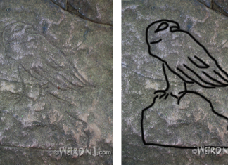 Prehistoric Petroglyphs and Cryptic Carvings