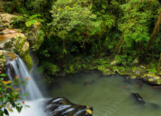 Tourism Tropical North Queensland launches global campaigns to boost visitation