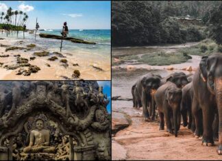 10 reasons to visit Sri Lanka: A land like no other for Indian travellers – Lifestyle News