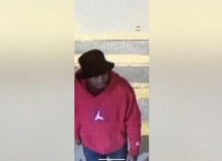 International manhunt launched after missing woman found dead at Boston airport