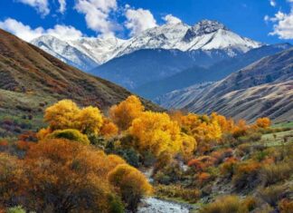TikTok, Kazakh Tourism Unveil Virtual Journey Initiative Through Nation’s Hidden Gems