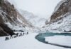 How To Prepare For The Chadar Trek In Ladakh