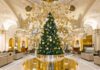 12 Best Hotel Christmas Trees