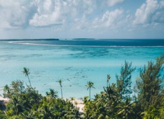 Discover Luxury at The Brando Resort in French Polynesia: An Exclusive Island Retreat Discover Luxury at The Brando Resort in French Polynesia