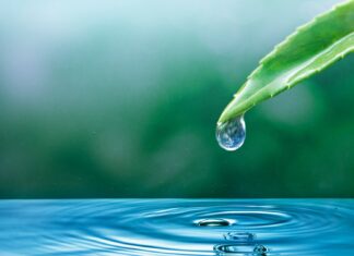 WTTC Unveils Its ‘Water Roadmap For Travel & Tourism’ Report