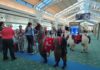 Therapy llamas at Portland airport relieve passenger stress