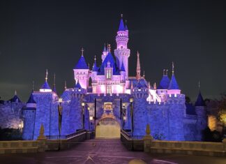 Disneyland Resort Tips Every First Timer Should Know