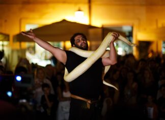Nashville bans python, snake vendors targeting tourists on Broadway