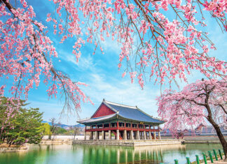 Jinju City: Lantern legacy to Night Tourism gem in South Korea