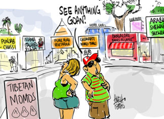 telling the story of the true cost of tourism in Goa – W&M News