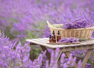 Travel-Inspired Perfumes That’ll Teleport You To Rome, Egypt and Beyond