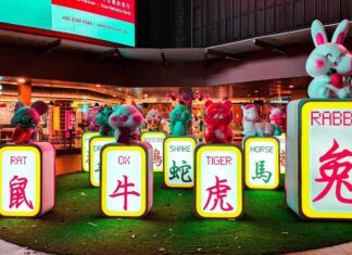 Places To Visit In 2024 Based on Your Chinese Zodiac Sign