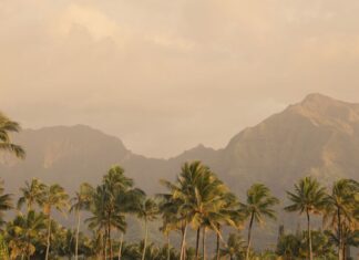Where to Stay, What to See, and How to Get There