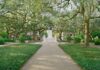Your full travel guide to Savannah, Georgia