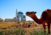 Exploring Kazakhstan: Budget Travel Guide 2023
