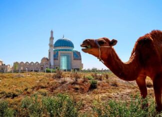 Exploring Kazakhstan: Budget Travel Guide 2023