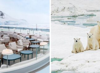 Best Polar Cruises – Luxury Cruises to Greenland, Arctic, Antarctica Travel Guide