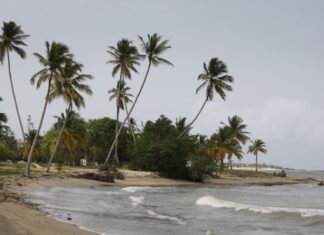 Dominican Republic Vaccine Requirements & What Vaccinations Are Recommended?
