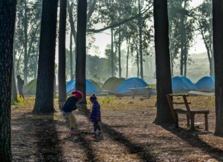 Araku Pinery, a new community-based eco-tourism project near Visakhapatnam