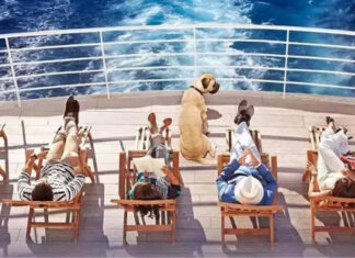 The Best Cruises You Can Book In 2024