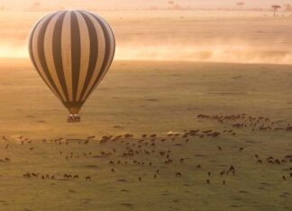 2024 Travel Guide to Africa