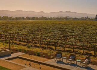 Your Guide To Napa’s Best-Kept Wine Secrets