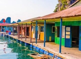 Navigating Vietnam’s Climate: Best Travel Times Unveiled | Lifestyle