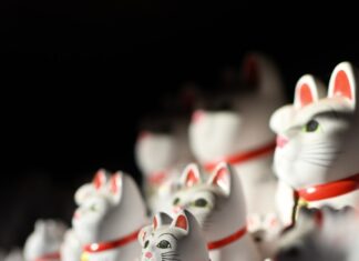 Lucky cats have overrun the Tokyo temple where they were born
