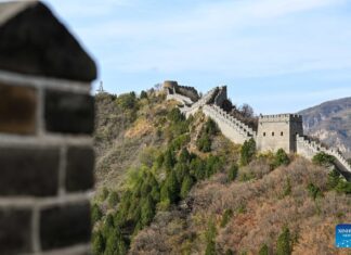 Exploring the land of the dragon: Essential tips for traveling to China
