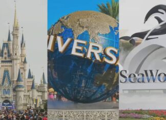 Hospitality and Tourism Industry continues to grow in Central Florida – WFTV