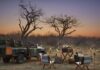 How To Plan A Luxury Trip In South Africa