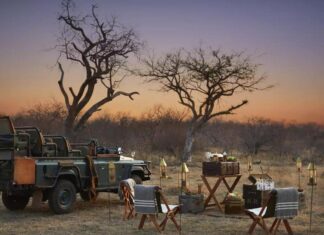 How To Plan A Luxury Trip In South Africa