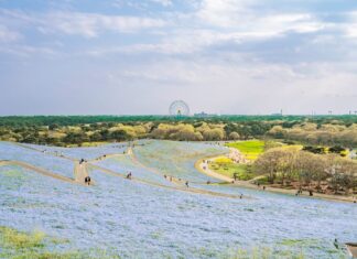 The best 7 destinations in Japan’s least popular prefectures