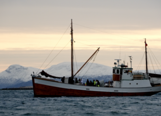 Tourism is booming in northern Norway: “It’s amazing. We have never seen so many guests before”, tour operators react.