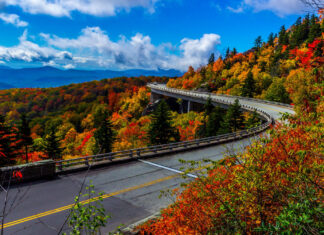 The Year’s Most Visited National Park Service Sites