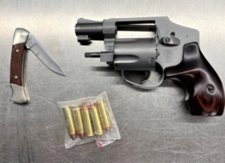 First ‘illegal’ gun of 2024 detected at Boston Logan airport