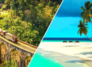 With Maldives Out Sri Lanka Witnesses An Influx Of Indian Tourists – Travel Guide To Sri Lanka | National