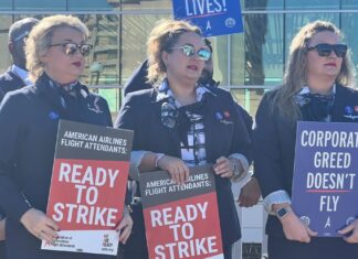 Hundreds of Dallas flight attendants to picket – NBC 5 Dallas-Fort Worth
