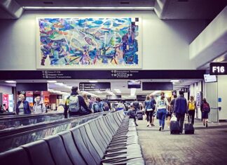 The real reason people travel in the U.S.