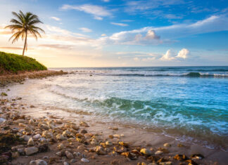 Jamaica to Host Annual Caribbean Travel Marketplace